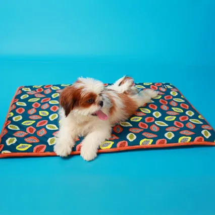 Pet Mat