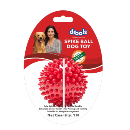 dog toy ball