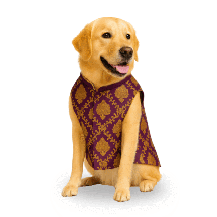Furrfab Royal Purple Color Sherwani for Dogs