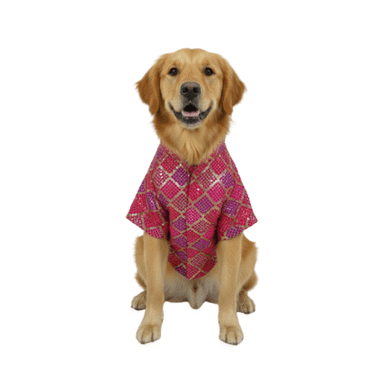 Furrfab Festive Wear Pink Color Dog Sherwani