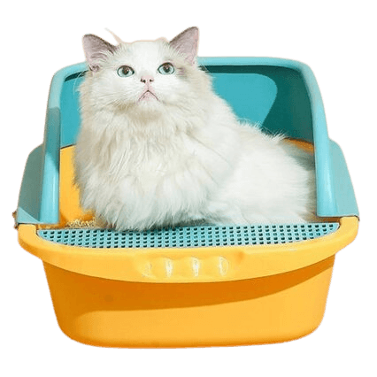 Cat Litter Supplies