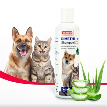Beaphar Dimethicare Flea & Tick Shampoo for Dogs & Cat, 250ml