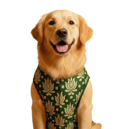Dog Clothing